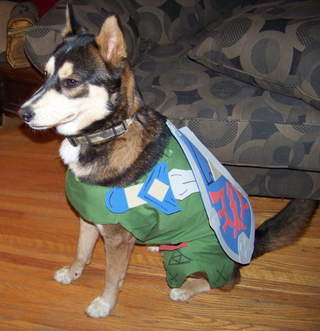 Illustration for article titled The Wonderful World Of Dog Cosplay